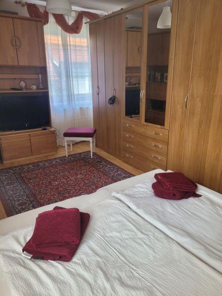 Ferienwohnung Korneuburg Bei Wien -1 מראה חיצוני תמונה